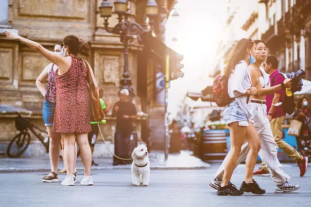 10 Simple Steps to Master Your Walking Technique for Fitness