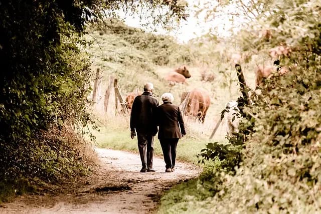 Mastering Walking Techniques for Enhanced Fitness Results