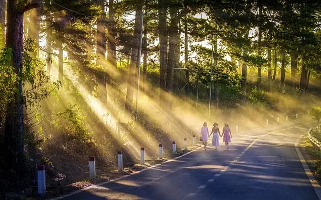 10 Essential Steps to Create a Sustainable Walking Habit