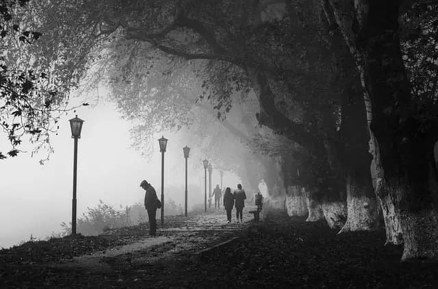 10 Essential Benefits of Walking for Your Fitness Journey