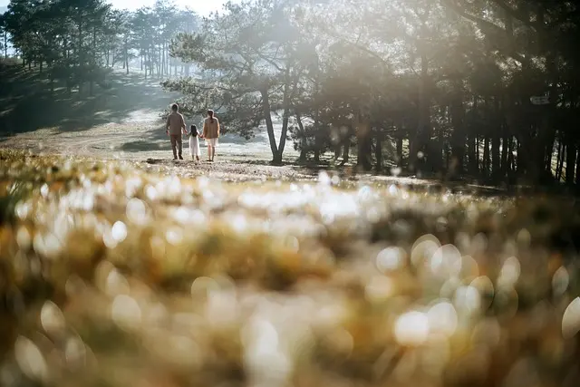 How to Effectively Incorporate Walking Into Your Daily Routine
