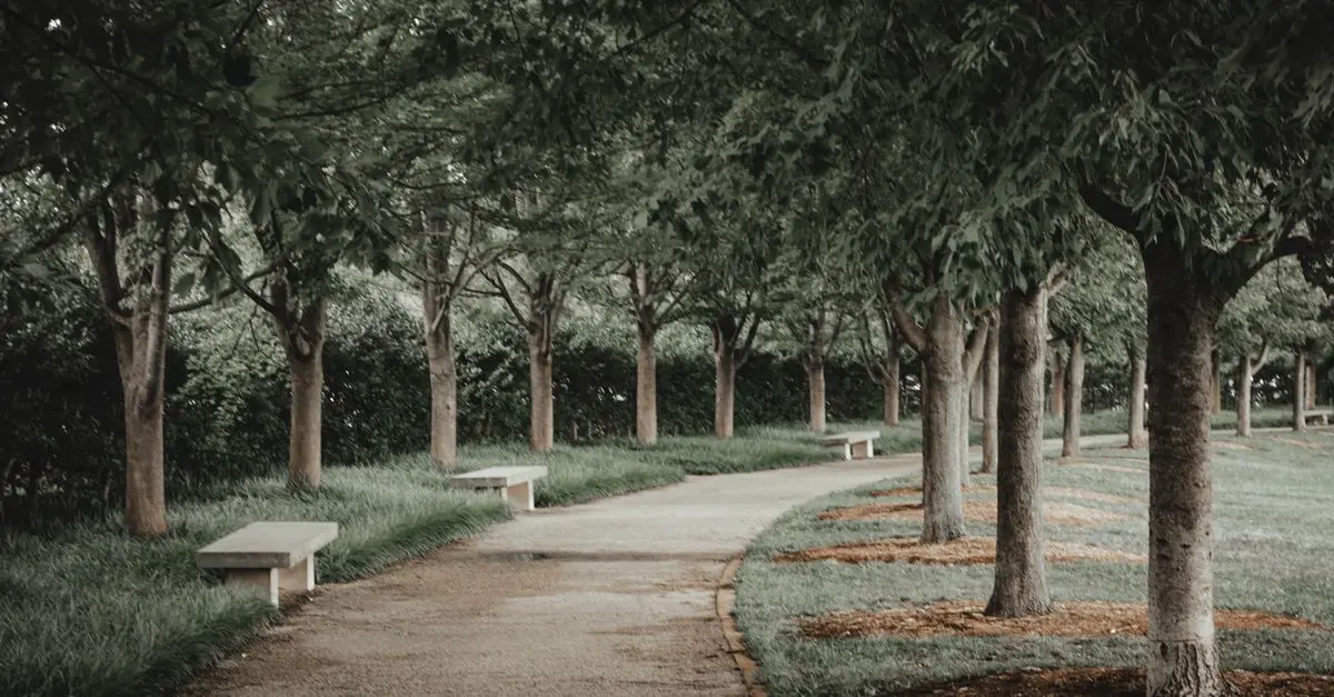 10 Steps to Create a Balanced Walking Routine for Fitness