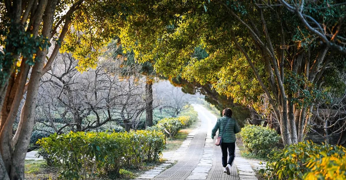 How Walking Boosts Your Fitness Journey