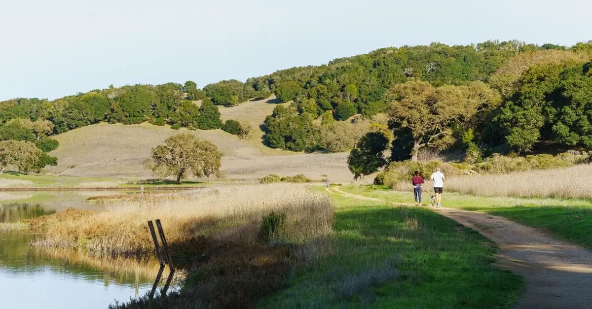 How to Create an Effective Walking Workout Routine
