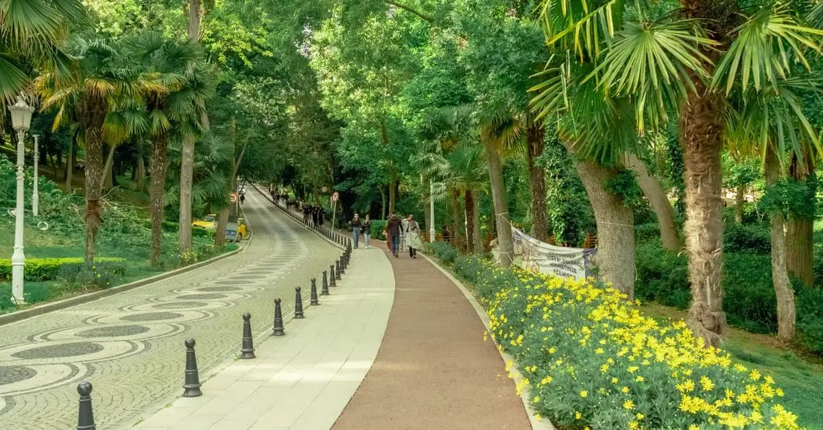 How to Build a Comprehensive Walking Routine