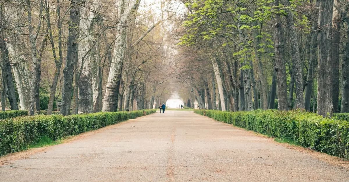 How to Create a Balanced Step to Fitness Routine
