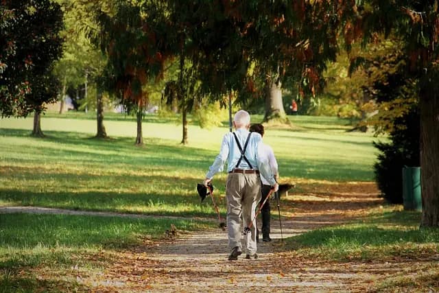 The Ultimate Guide to Effective Walking Techniques for Fitness
