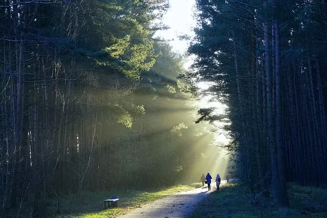 How to Build a Balanced Walking Routine for Fitness Success
