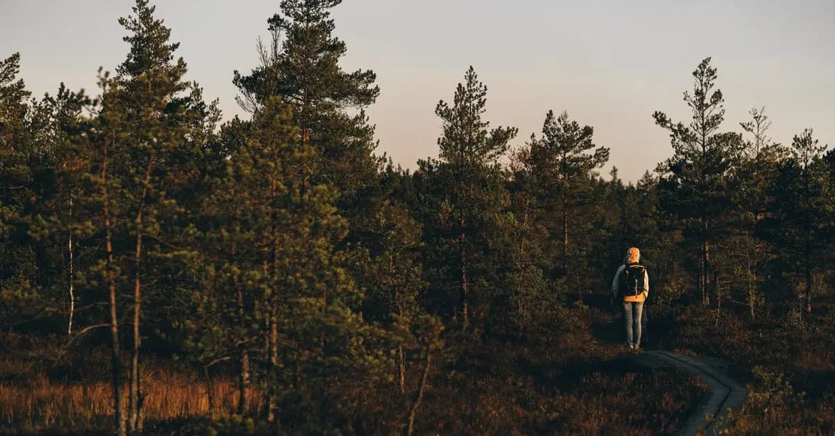 How to Create an Effective Walking Routine for Fitness Success