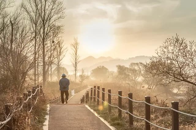 10 Essential Tips for Walking Your Way to Fitness Success