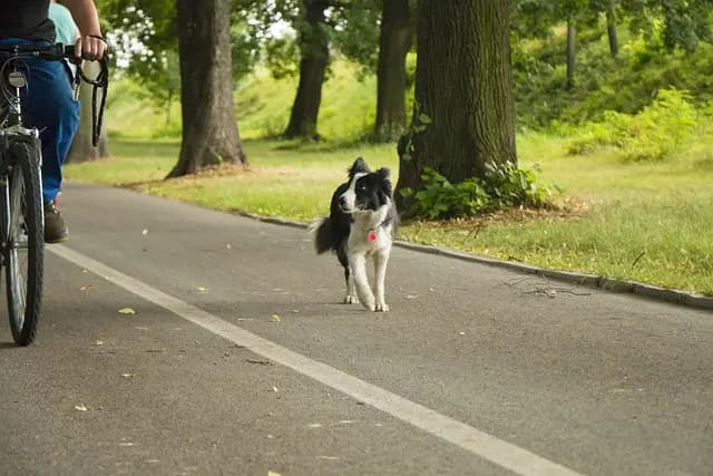 10 Essential Walking Tips to Maximize Your Fitness Routine