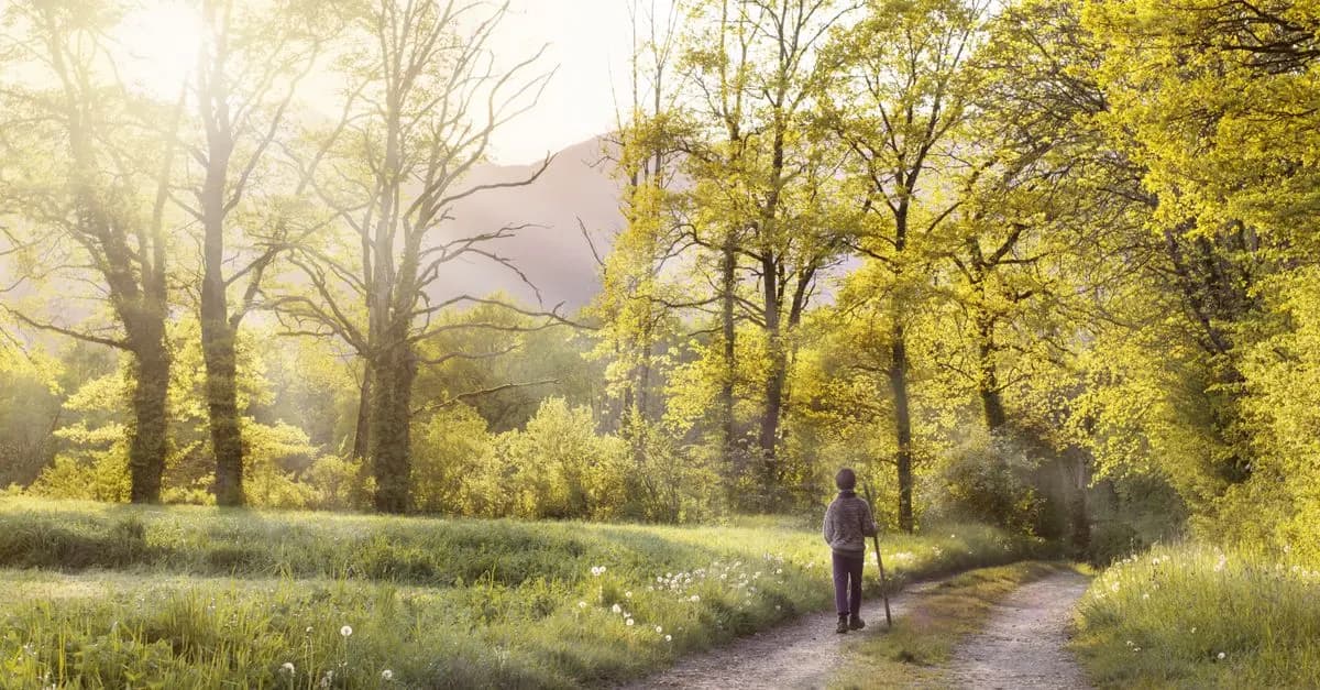 10 Essential Walking Techniques to Boost Your Fitness