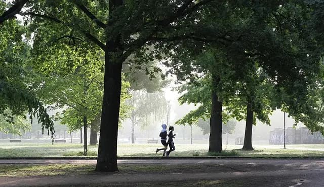 10 Essential Tips for a Successful Step to Fitness Journey