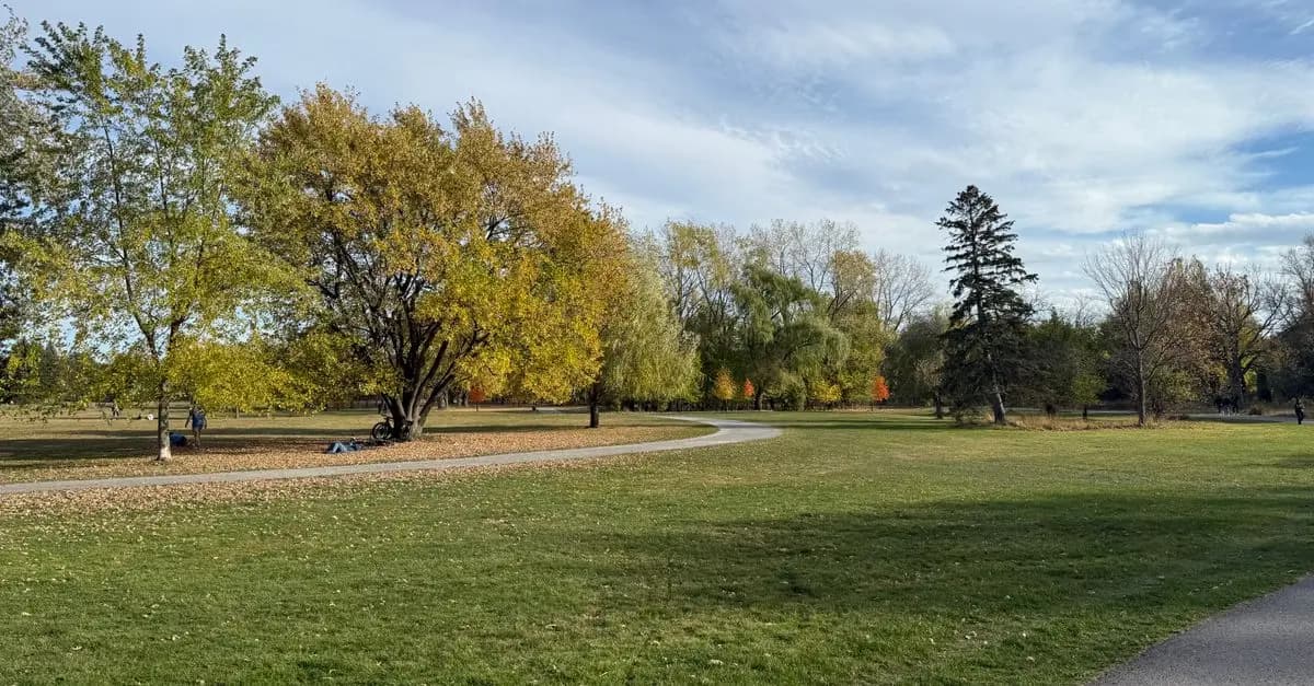 5 Essential Strategies to Maximize Your Walking Routine