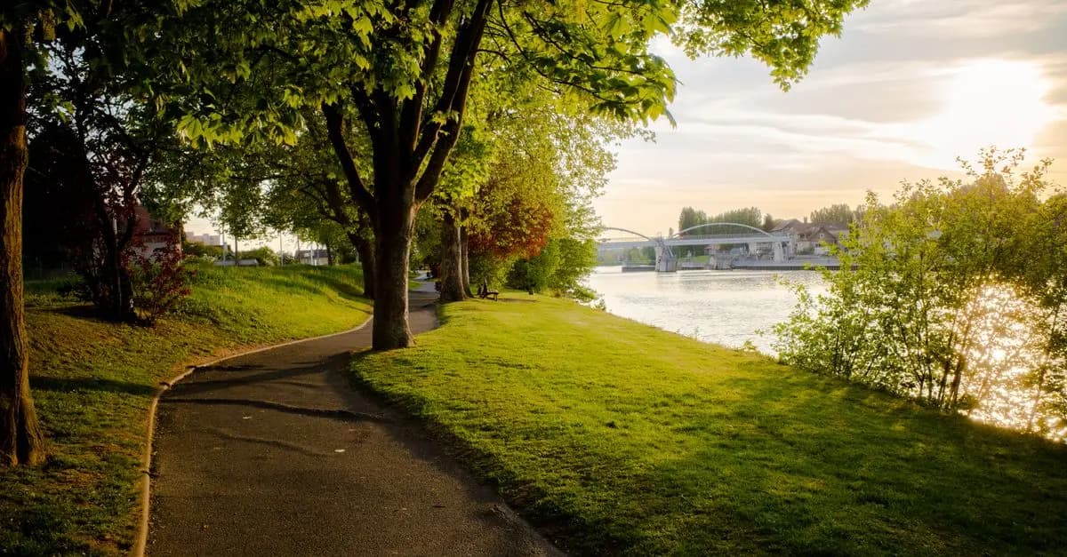 Essential Steps to Create a Walking Routine for Fitness Success