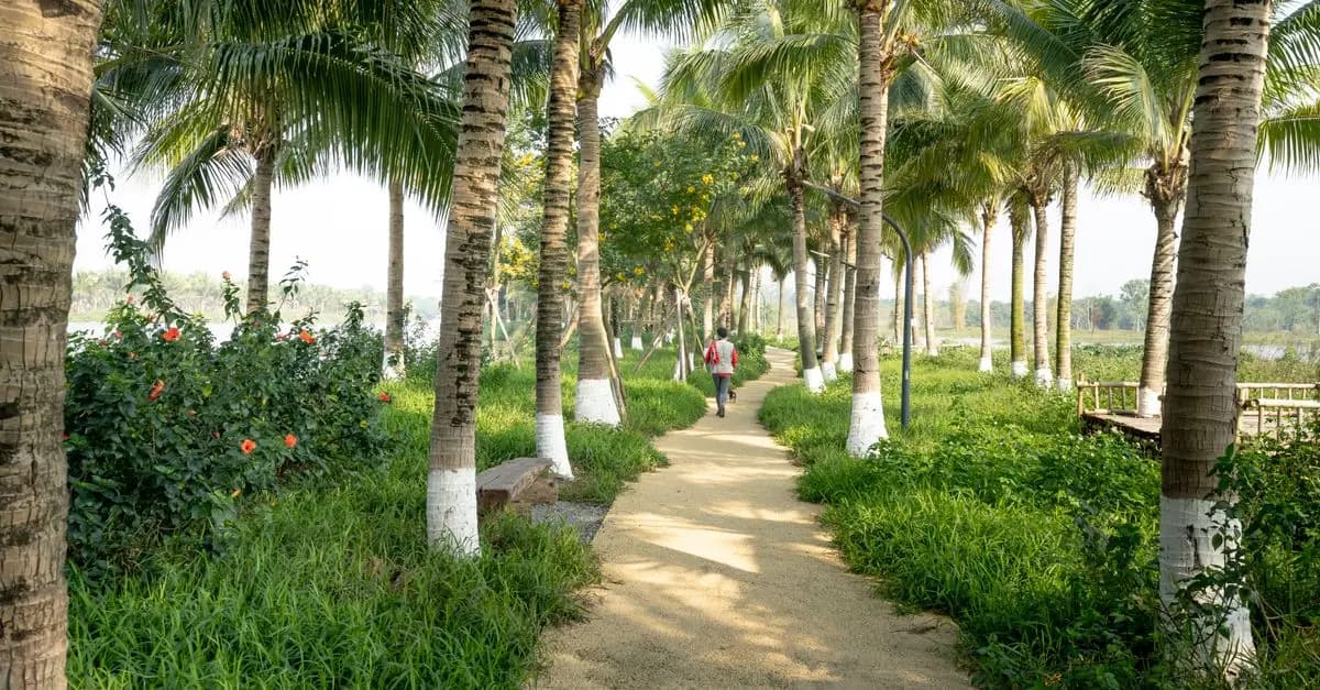 10 Essential Steps to Optimize Your Walking Routine for Fitness