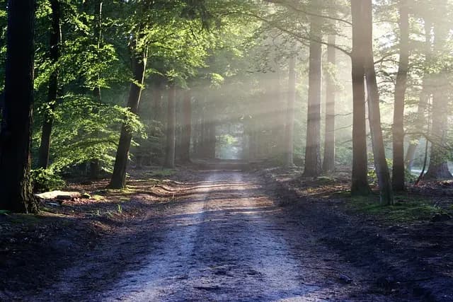 How to Effectively Incorporate Walking into Your Fitness Routine