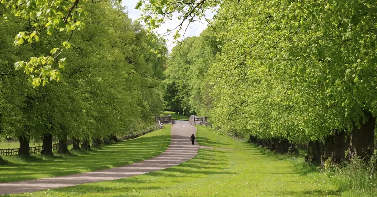 10 Effective Tips for Walking Your Way to Fitness Success