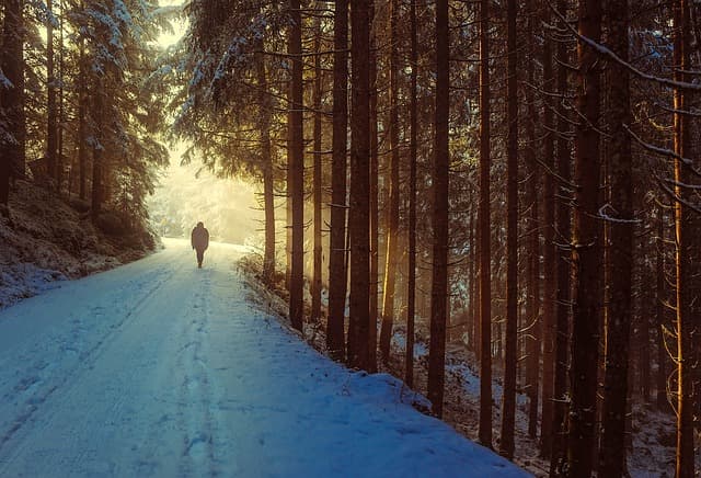 10 Effective Ways to Elevate Your Step to Fitness Journey