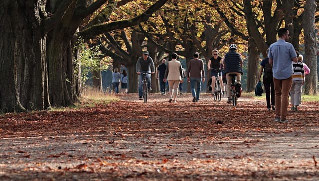 10 Essential Tips for Walking Your Way to Fitness Success