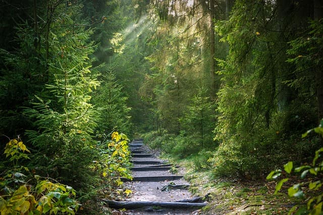 Essential Steps to Improve Your Walking Technique for Better Fitness