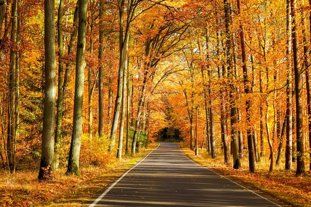 The Essential Benefits of Walking for Your Fitness Journey