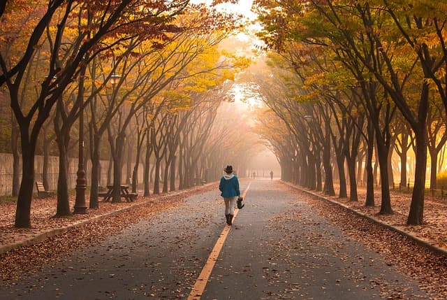 10 Essential Tips for Mastering Your Walking Technique