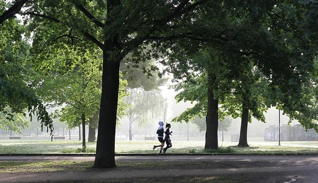 How to Incorporate Steps into Your Daily Fitness Routine