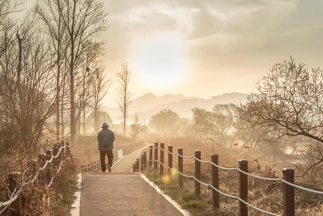10 Effective Tips for Beginner Walking Routines