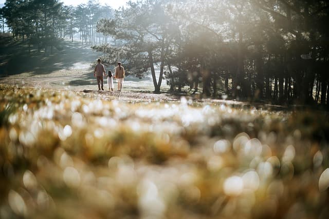 The Ultimate Guide to Getting Started with Step to Fitness